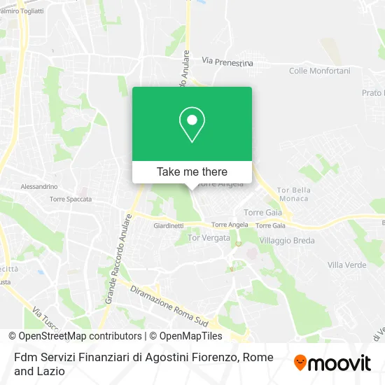 FDM Financial Services by Agostini Fiorenzo map