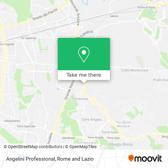Angelini Professional map