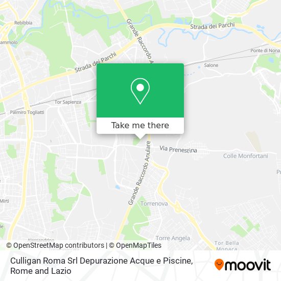 Culligan Roma Srl Depurazione Acque e Piscine map