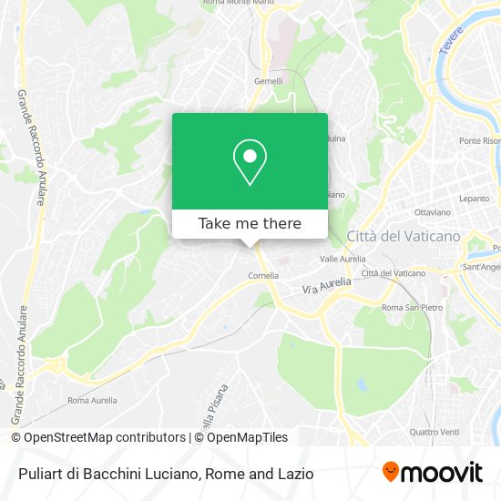 Puliart di Bacchini Luciano map