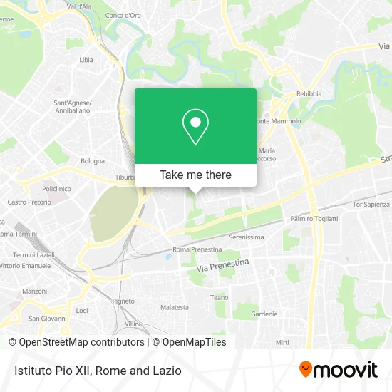 Pius XII Institute map