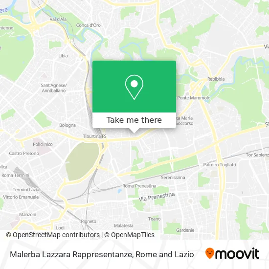 Malerba Lazzara Representations map