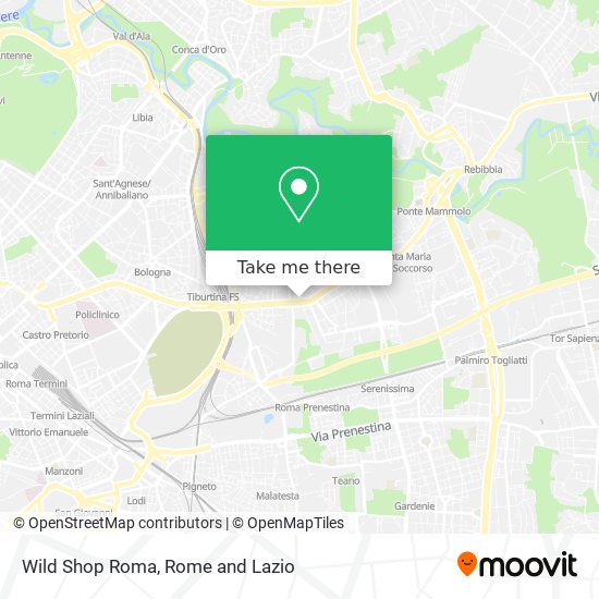 Wild Shop Roma map