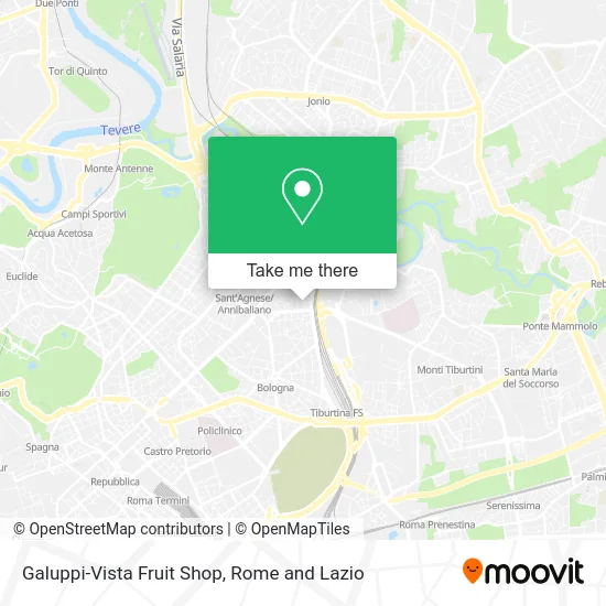 Galuppi-Vista Fruit Shop map