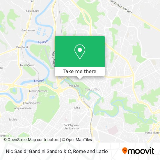 Nic Sas di Gandini Sandro & C map