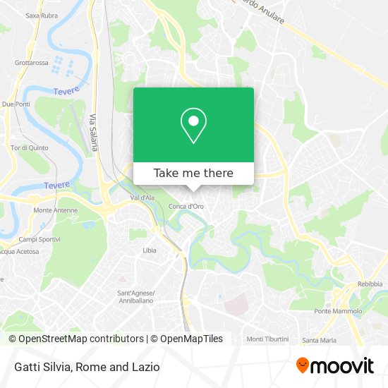 Gatti Silvia map