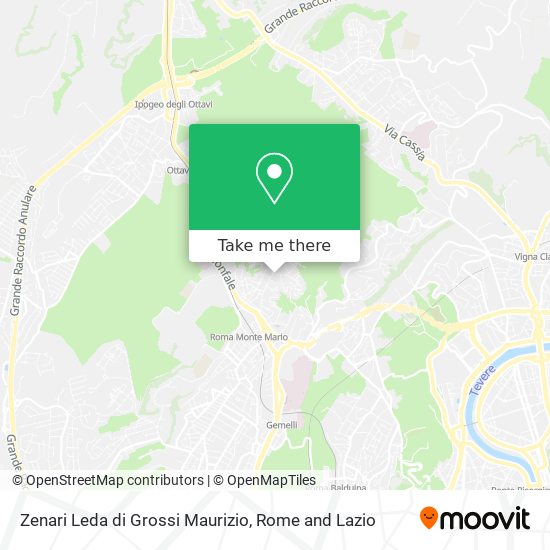 Zenari Leda di Grossi Maurizio map