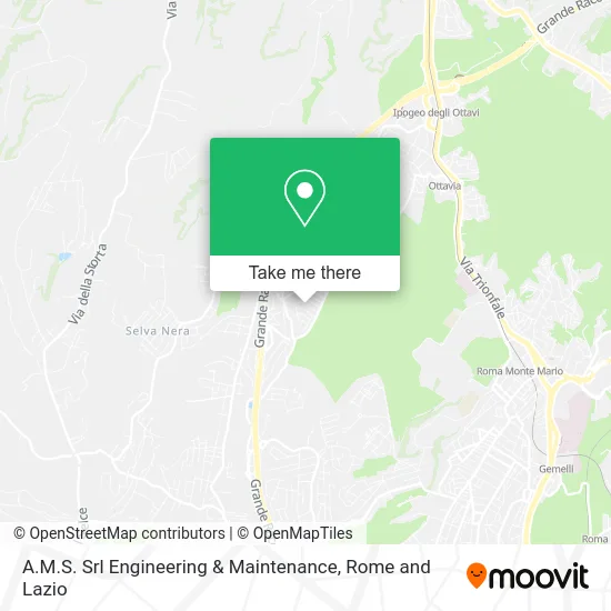 A.M.S. Srl Engineering & Maintenance map