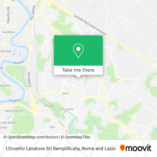 The Raccoon Simplified LLC map