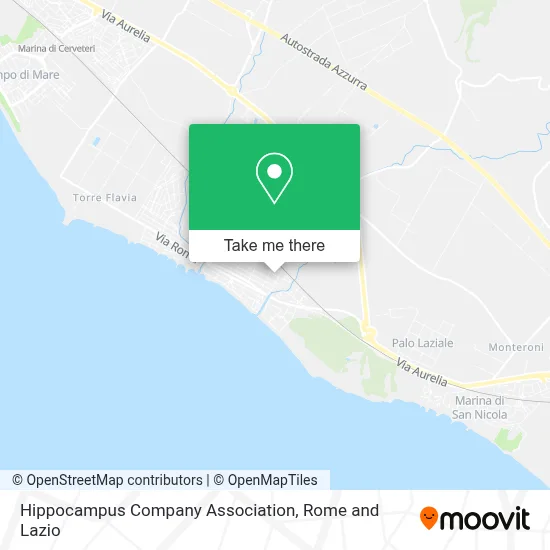 Hippocampus Company Association map