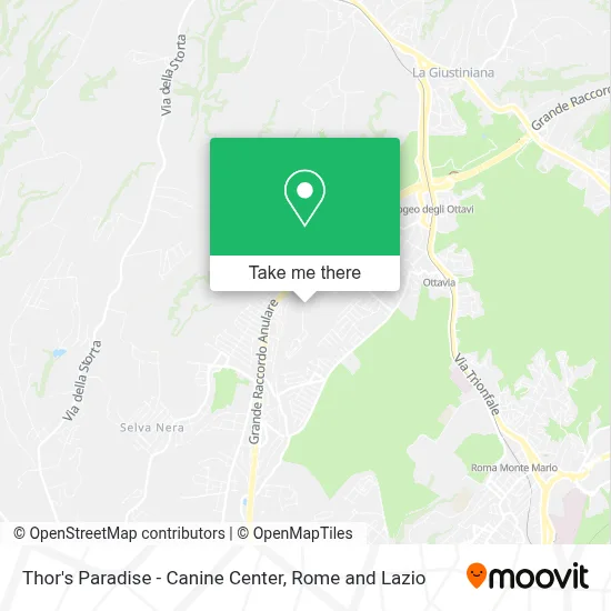 Thor's Paradise - Canine Center map