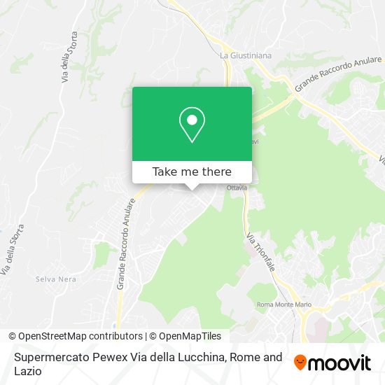 Supermercato Pewex Via della Lucchina map