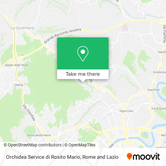 Orchidea Service of Mario Rosito map