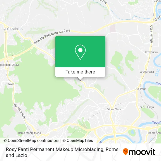 Rosy Fanti Permanent Makeup Microblading map