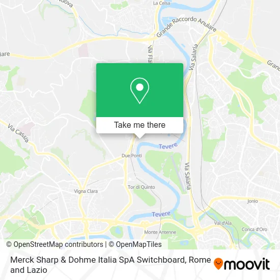 Merck Sharp & Dohme Italia SpA Switchboard map