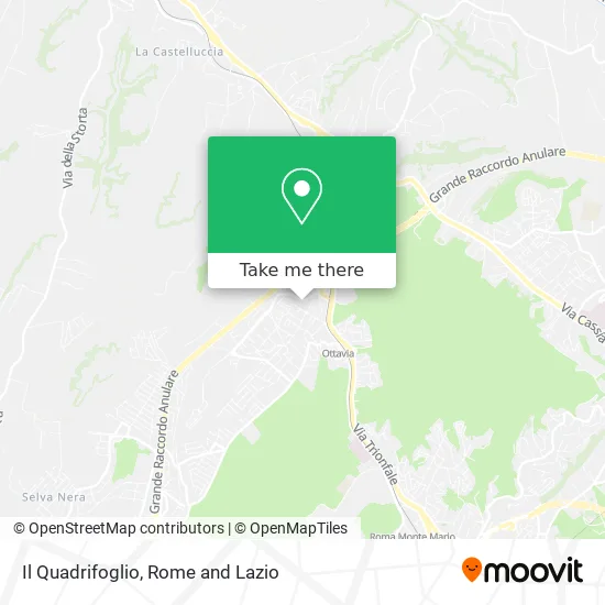 The Four-Leaf Clover map