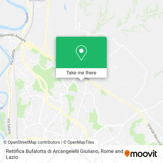 Bufalotta Rectification by Arcangelelli Giuliano map