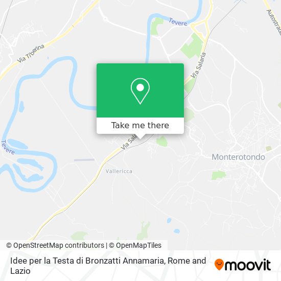 Idee per la Testa di Bronzatti Annamaria map