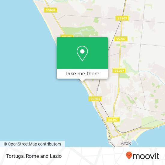 Tortuga map