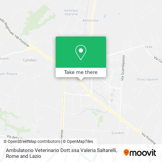 Ambulatorio Veterinario Dott.ssa Valeria Saltarelli map