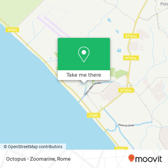 Octopus - Zoomarine map