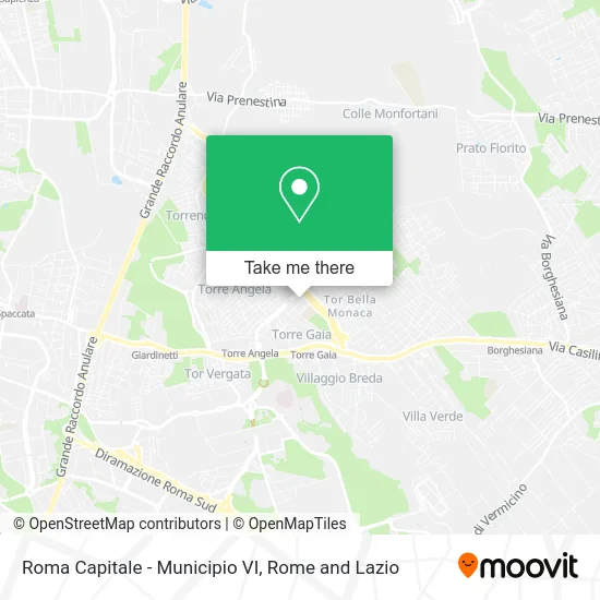 Rome Capital - Municipality VI map