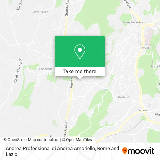 Andrea Professional by Andrea Amoriello map