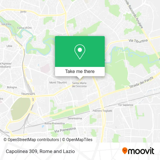Capolinea 309 map