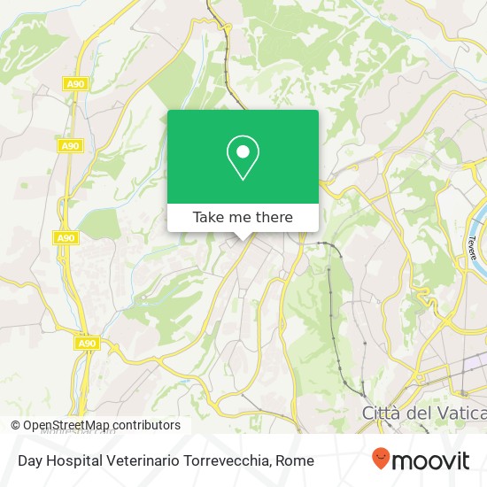 Day Hospital Veterinario Torrevecchia map