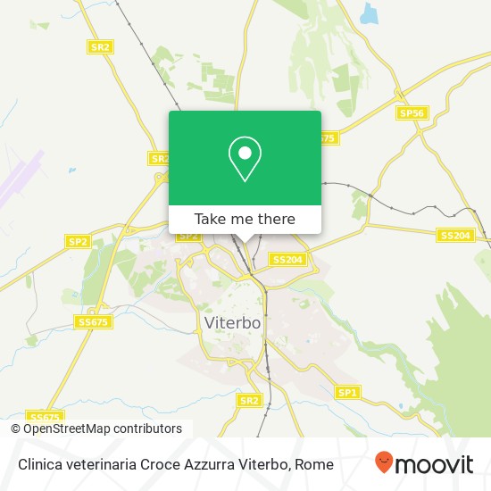 Clinica veterinaria Croce Azzurra Viterbo map