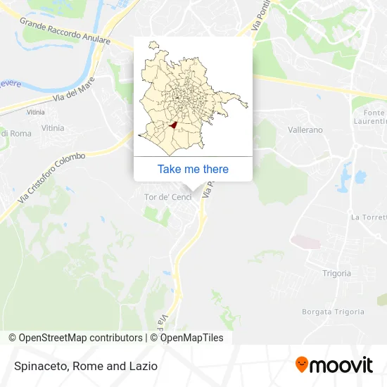 Spinaceto map