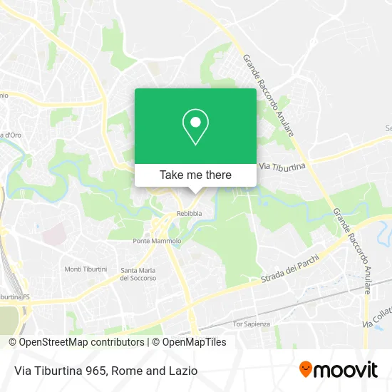Tiburtina Street 965 map