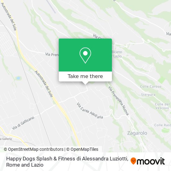 Happy Dogs Splash & Fitness di Alessandra Luziotti map