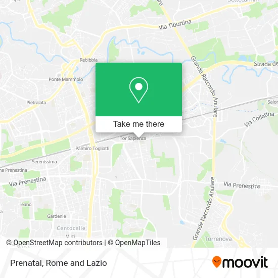Prenatal map