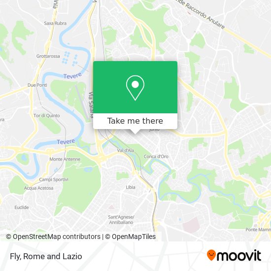 Fly map