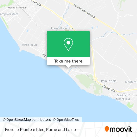 Fiorello Piante e Idee map