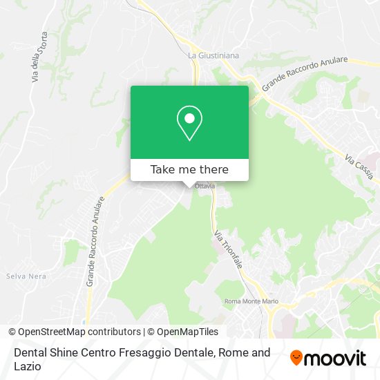 Dental Shine Centro Fresaggio Dentale map