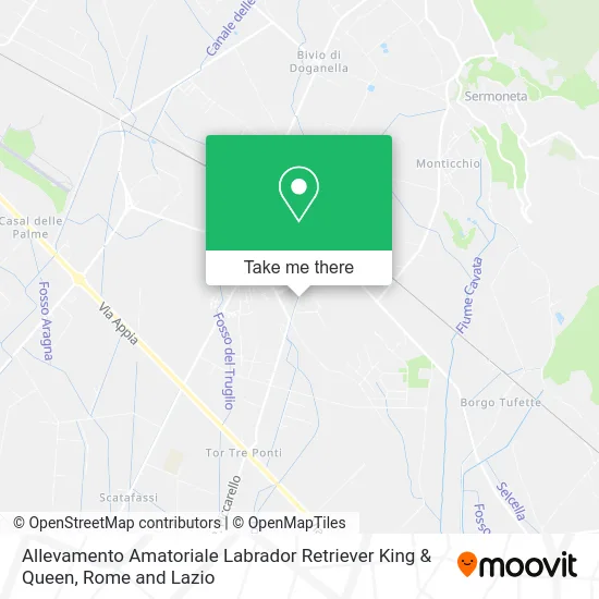 Amateur Labrador Retriever Breeding King & Queen map