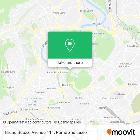 Bruno Buozzi Avenue 111 map