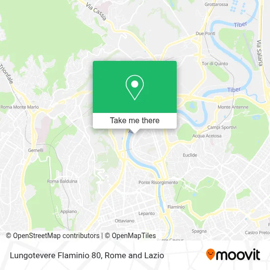 Lungotevere Flaminio 80 map