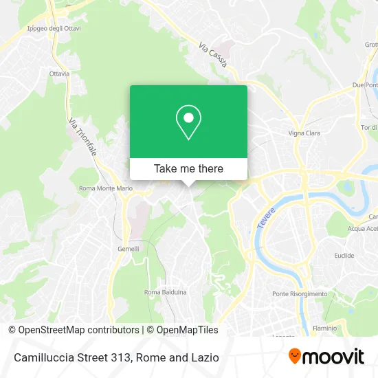 Camilluccia Street 313 map