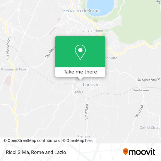 Ricci Silvia map
