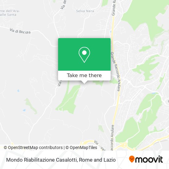 Mondo Riabilitazione Casalotti map