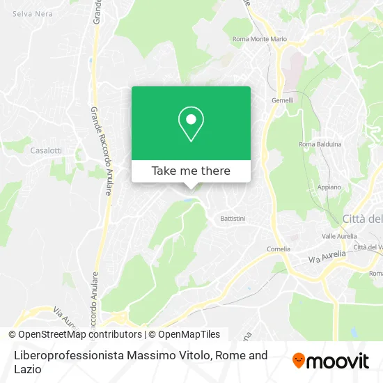 Freelance Professional Massimo Vitolo map
