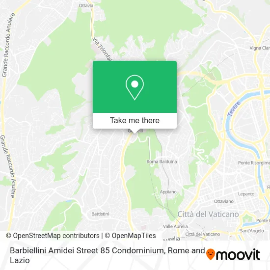 Barbiellini Amidei Street 85 Condominium map