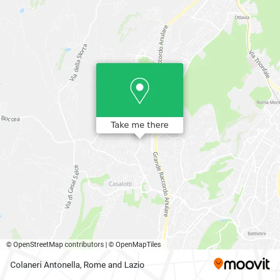 Antonella Colaneri map