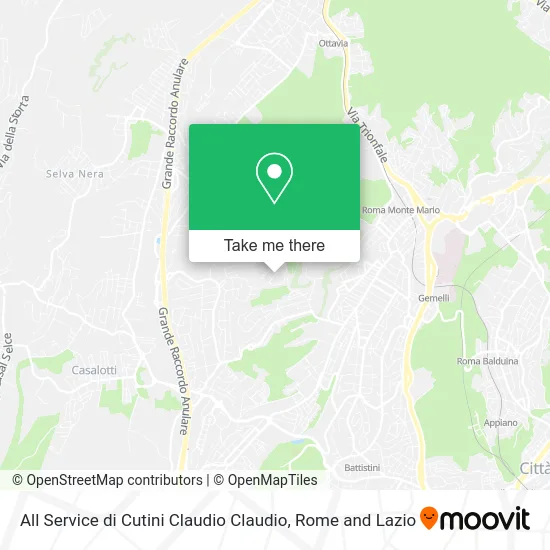 All Service by Cutini Claudio Claudio map