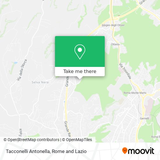 Tacconelli Antonella map