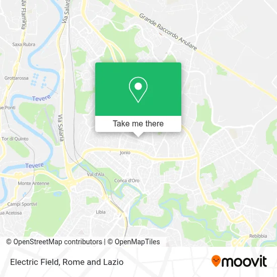 Electric Field map