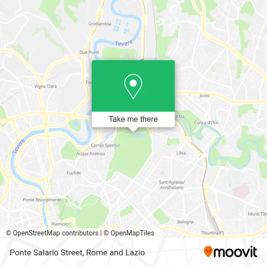 Ponte Salario Street map
